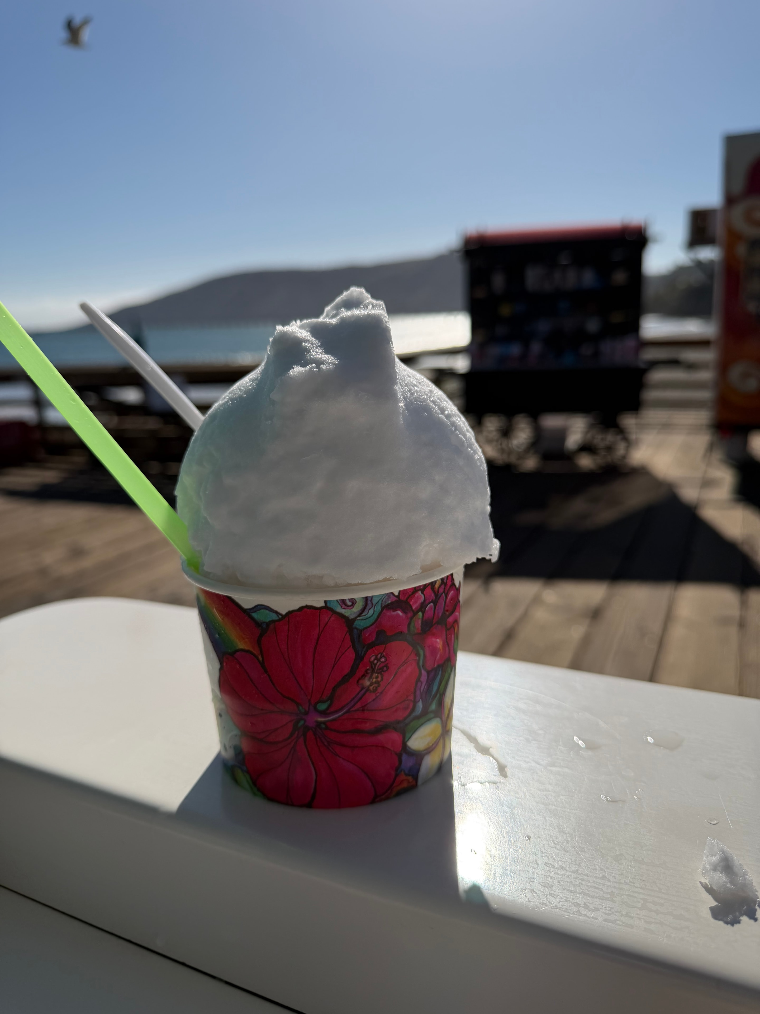 Shaka Shak shave ice in a floral cup with green straw on the pier railing